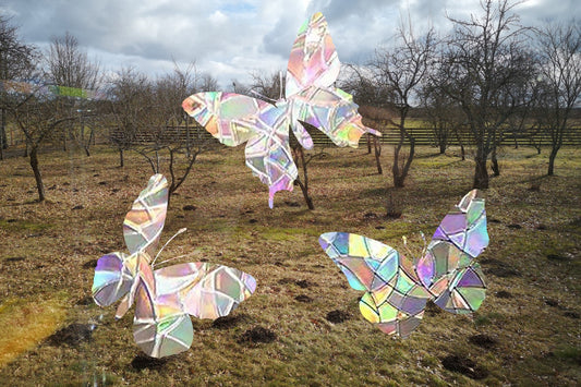 3 butterfly suncatchers, butterfly window decal, rainbow maker, suncatcher for window, rainbow suncatcher sticker, plants window cling