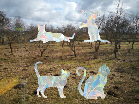 cats suncatcher, kitten window decal, rainbow maker, suncatcher for window, rainbow suncatcher sticker